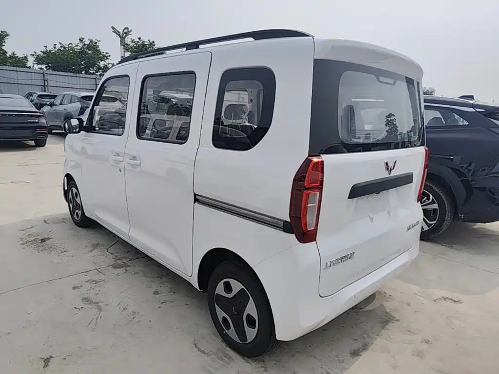 Wuling Motors Wuling Zhiguang NEV 2026 2025 Model 305km Base Version