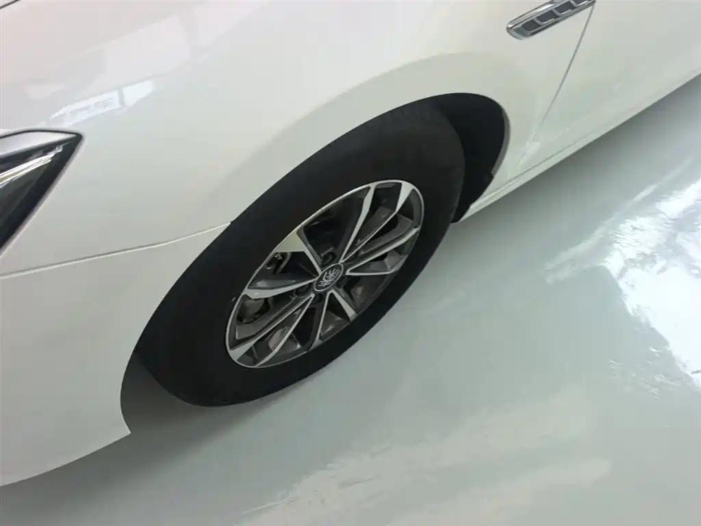 BYD Qin PLUS 2023 Champion Edition DM-i 55KM Leading фото 23