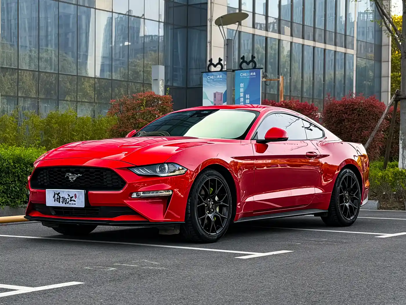 FORD MUSTANG