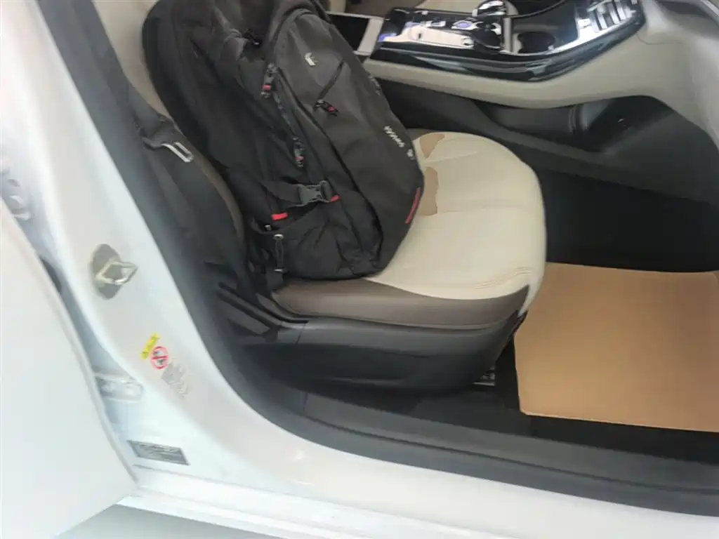 BYD Qin PLUS 2023 Champion Edition DM-i 55KM Leading фото 25