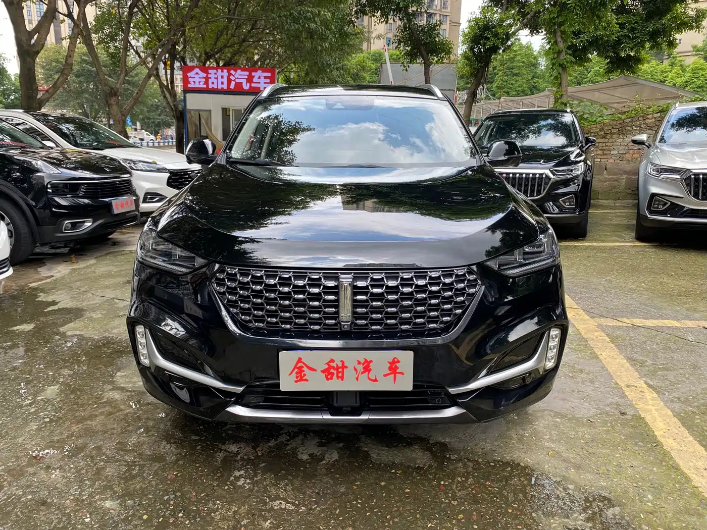 WEI PAI WEI BRAND VV6