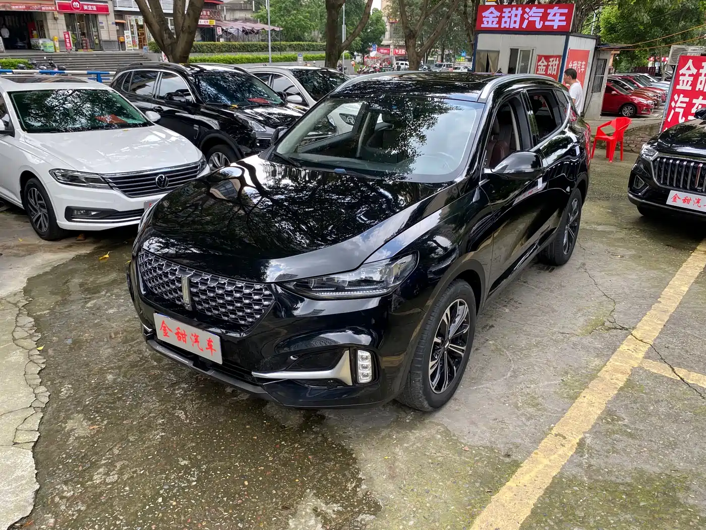 WEI PAI WEI BRAND VV6