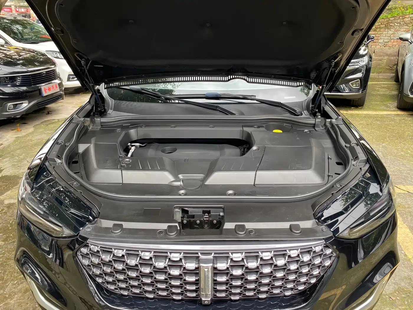 WEI PAI WEI BRAND VV6