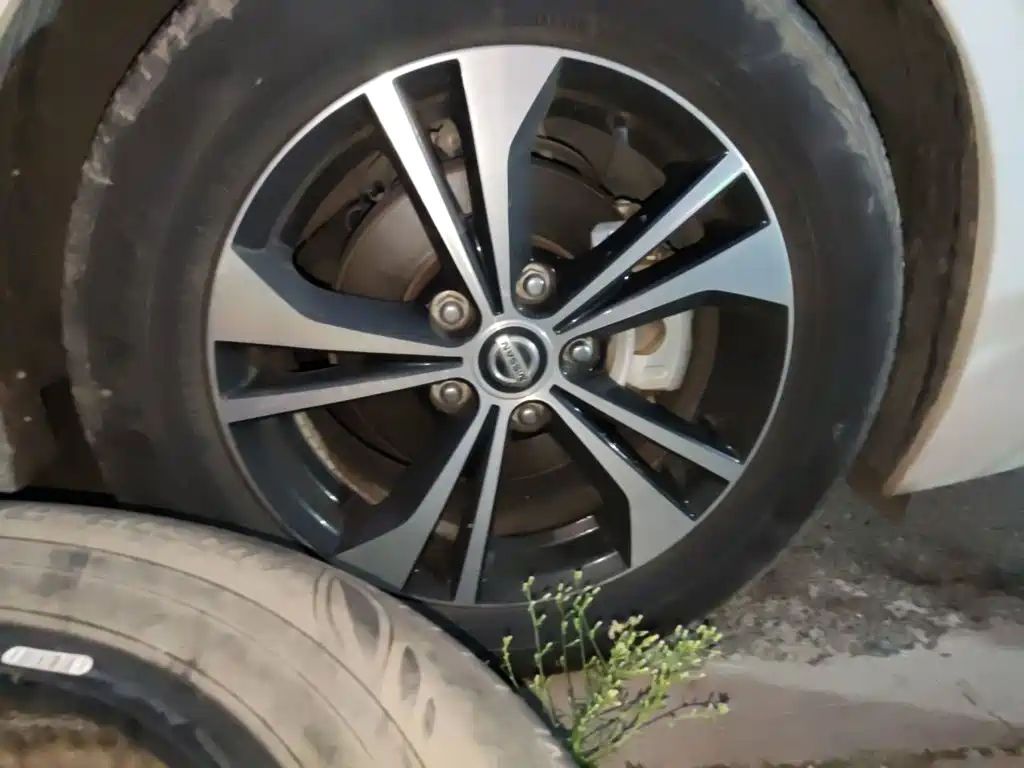 Nissan SYLPHY, миниатюра 8