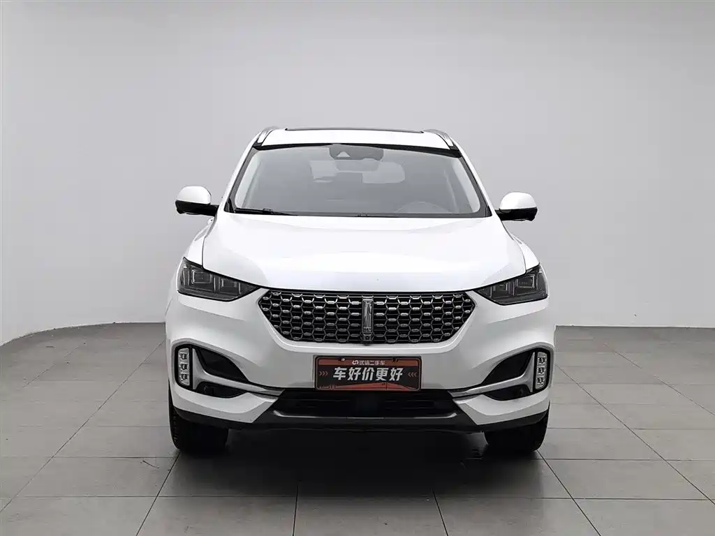 WEI PAI WEI BRAND VV6