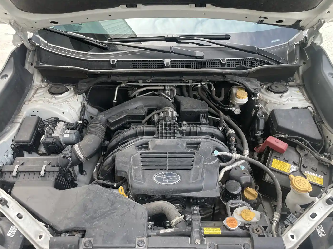 SUBARU FORESTER