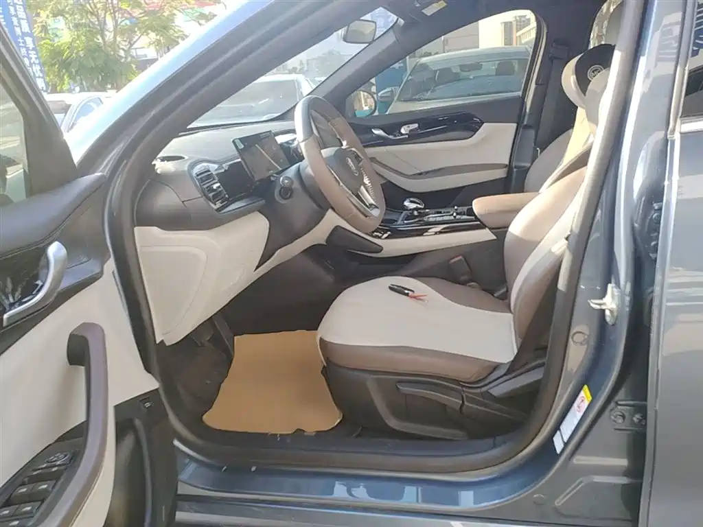 BYD Qin PLUS 2024 Glory Edition DM-i 55KM Leading фото 15