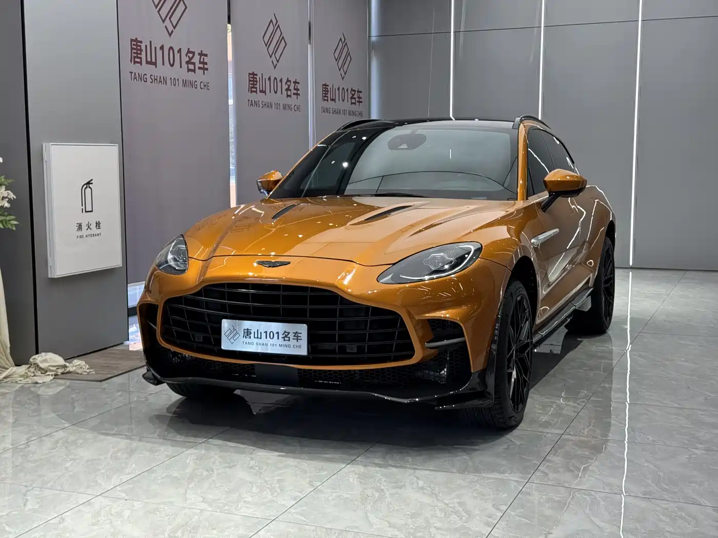 ASTON MARTIN DBX