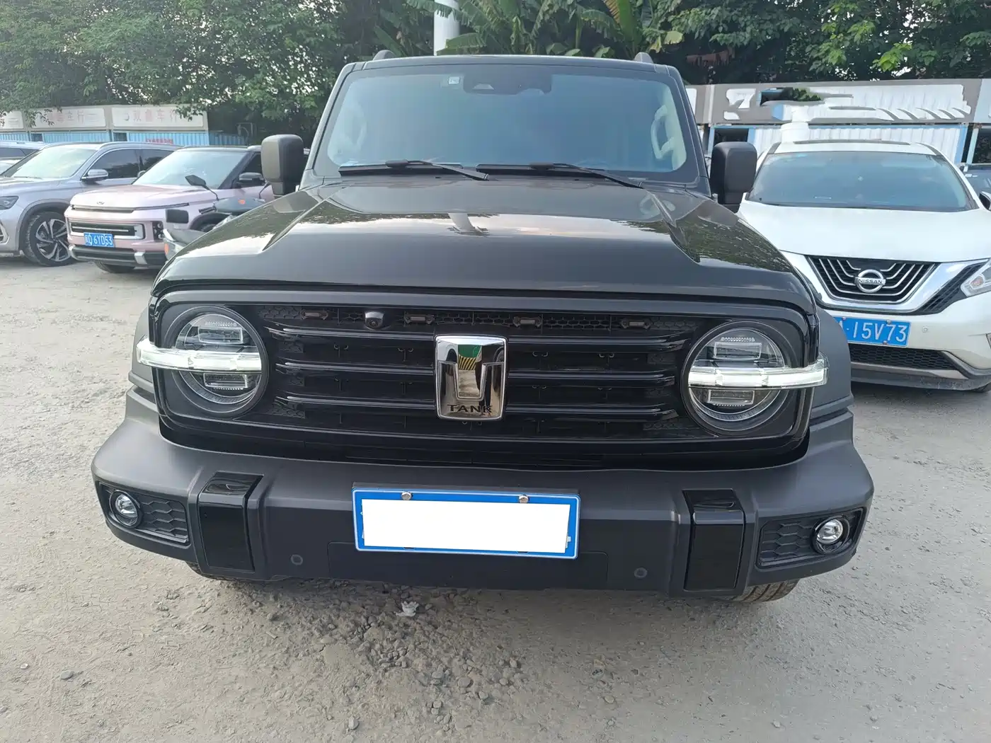 Tank 300 2020 2021 Off-road Version 2.0T Conqueror