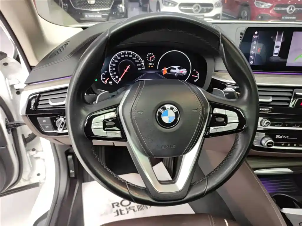 BMW 5 Series 2019 530Li Leading Luxury Package фото 9