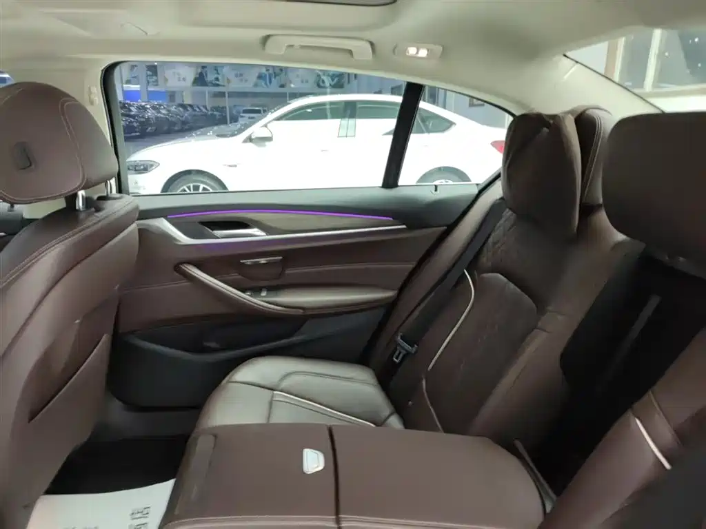 BMW 5 Series 2019 530Li Leading Luxury Package фото 30