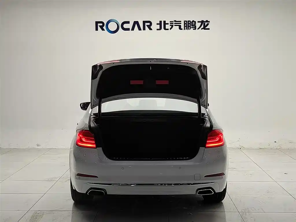 BMW 5 Series 2019 530Li Leading Luxury Package фото 5
