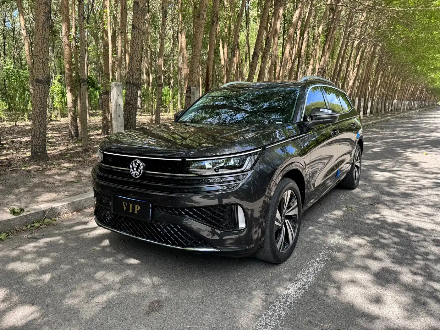 Volkswagen Talagon 2025 380TSI 4WD R-Line Cruise Deluxe Edition