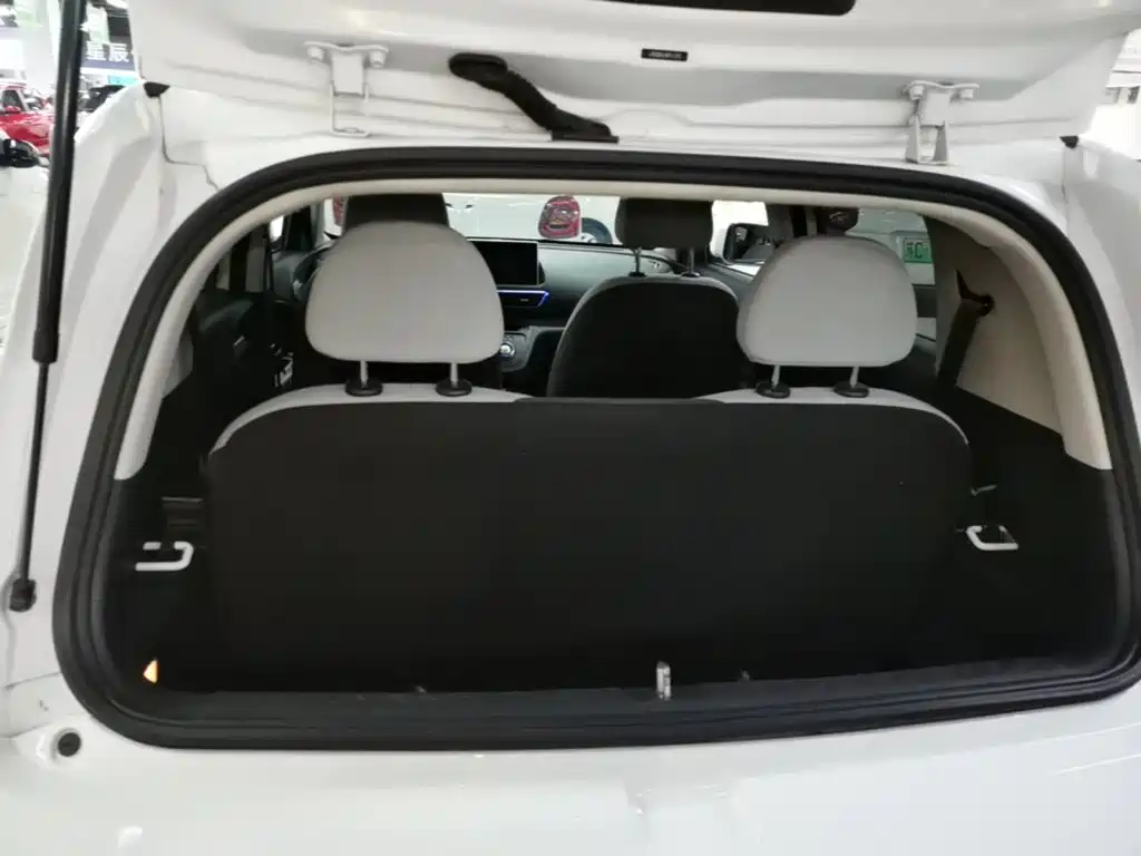 Ora White Cat 2021 2020 305km Luxury