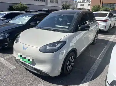 Wuling Bingo