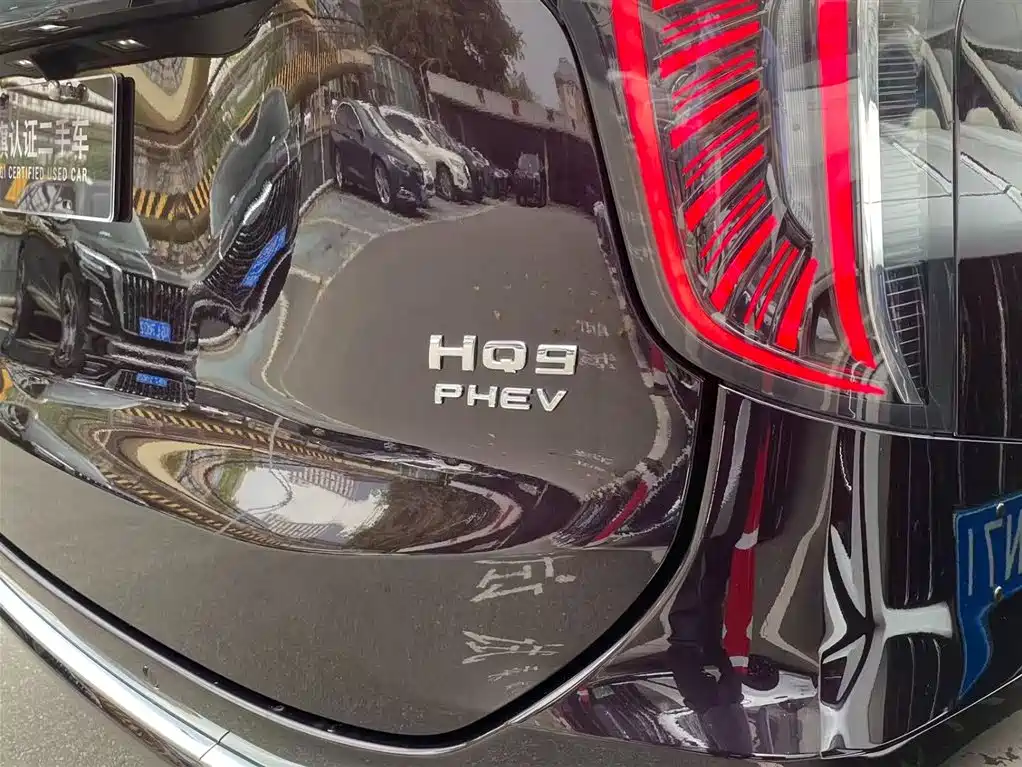 Hongqi HQ9 PHEV 2024 Model 2.0T AWD Luxury Edition фото 10