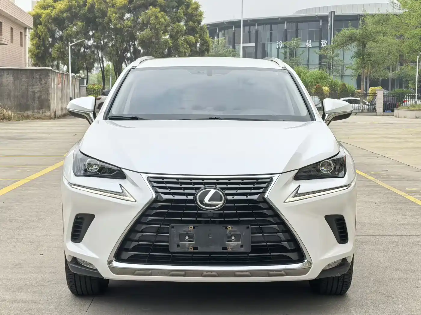 LEXUS NX