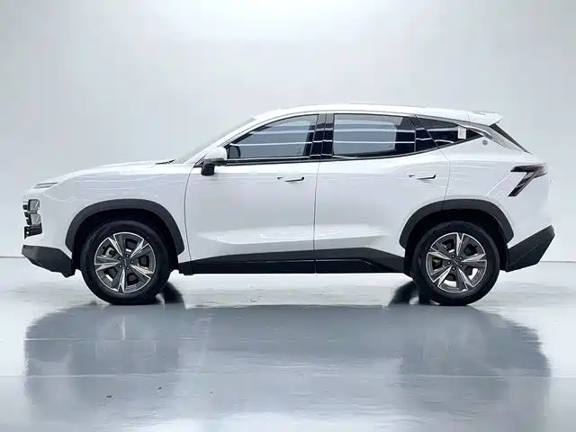 Фото 7 - Jetour Dashing