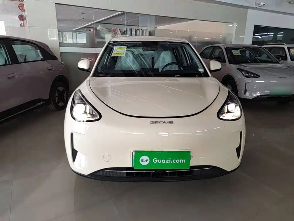 Geely Galaxy Starry Wish 2026 2026 Edition 310km Youth Version