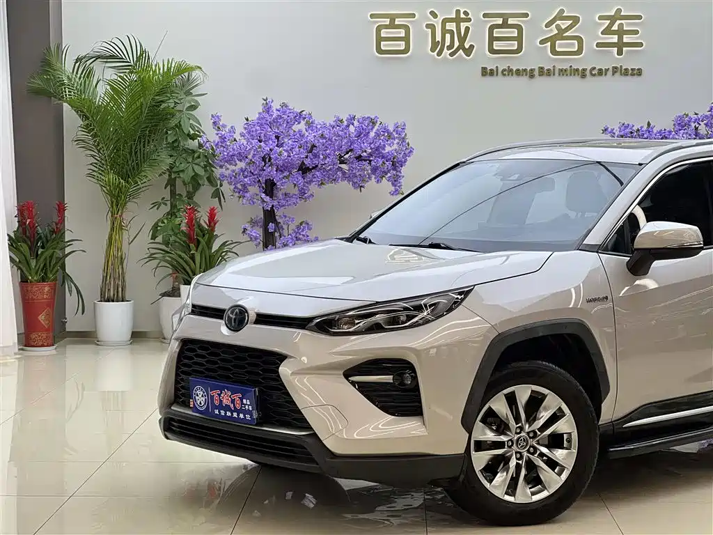 Toyota Wildlander 2020 Hybrid 2.5L E-CVT FWD Premium Edition фото 3