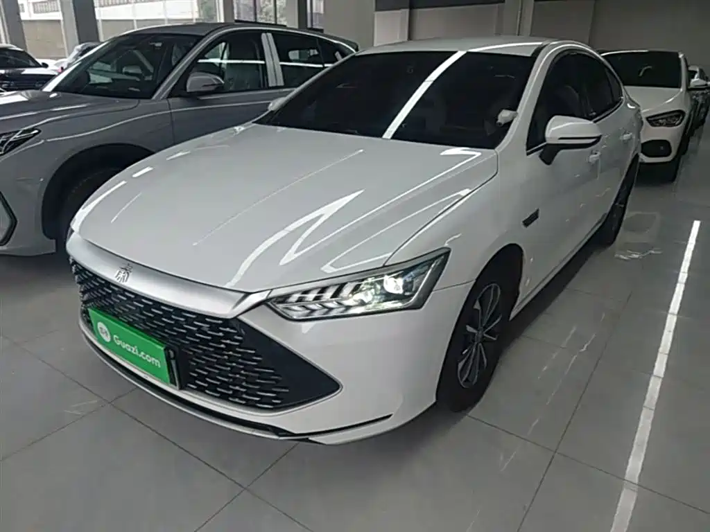 BYD Qin PLUS 2023 Champion Edition DM-i 55KM Leading
