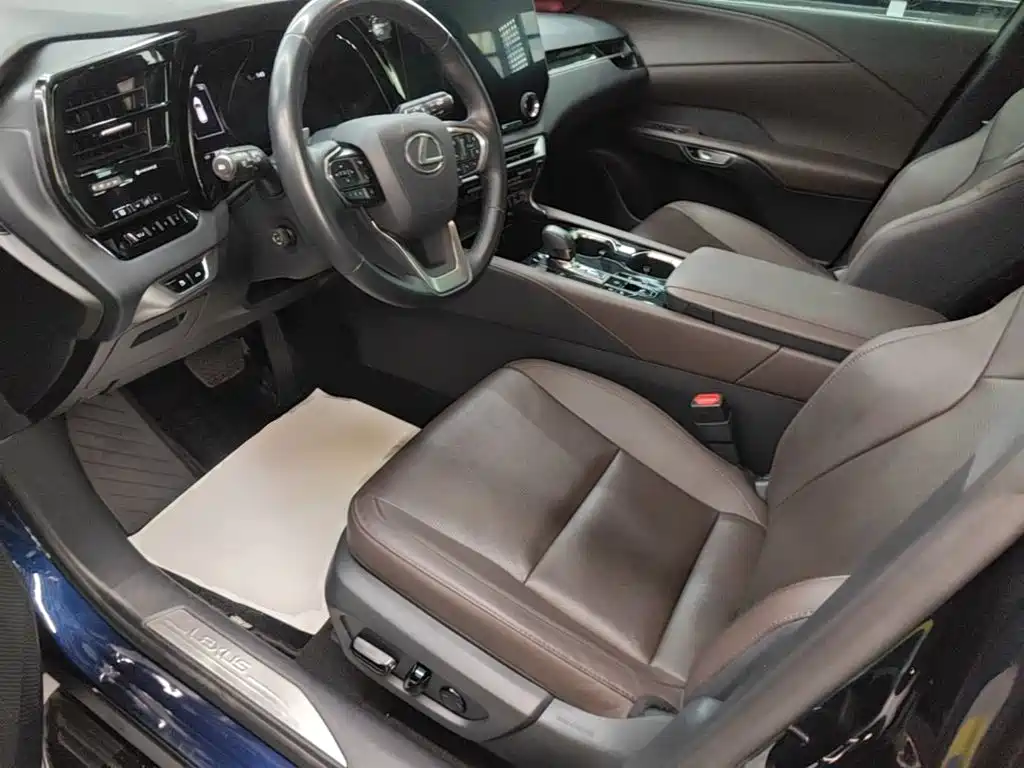 Фото 15 - Lexus RX