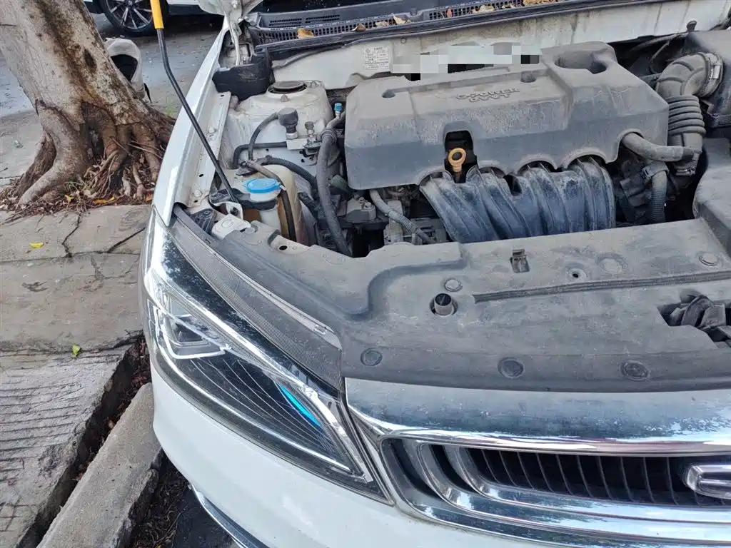 Фото 21 - Geely Emgrand