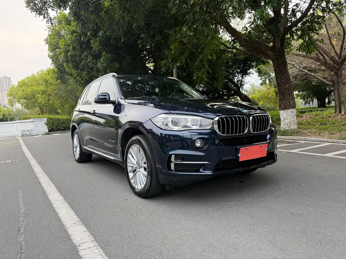 BMW X5 (Import) 2017 xDrive28i фото 3