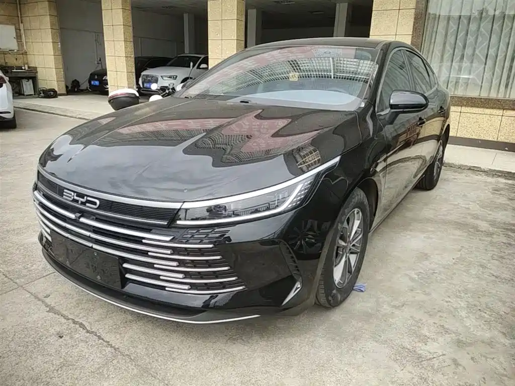 BYD Destroyer 05 2024 Glory Edition DM-i 55KM Luxury