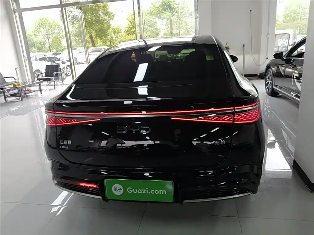 BYD Seal 2023 DM-i 1.5T 121km Flagship фото 6