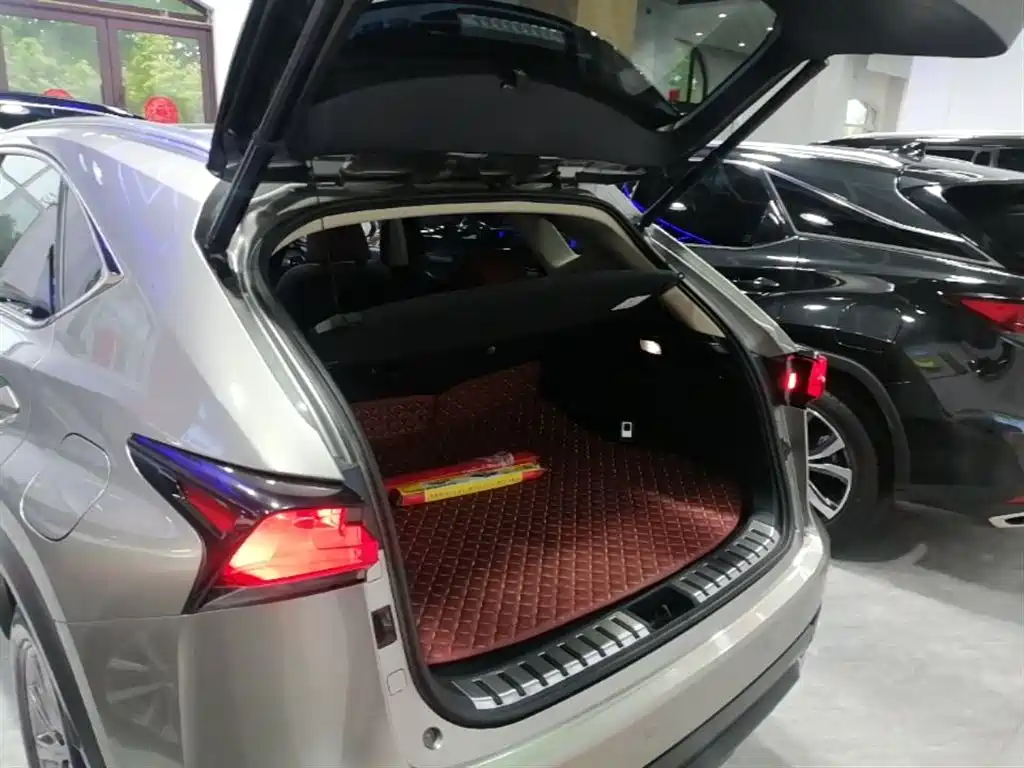 Lexus NX 2020 200 AWD F Sport China VI фото 19