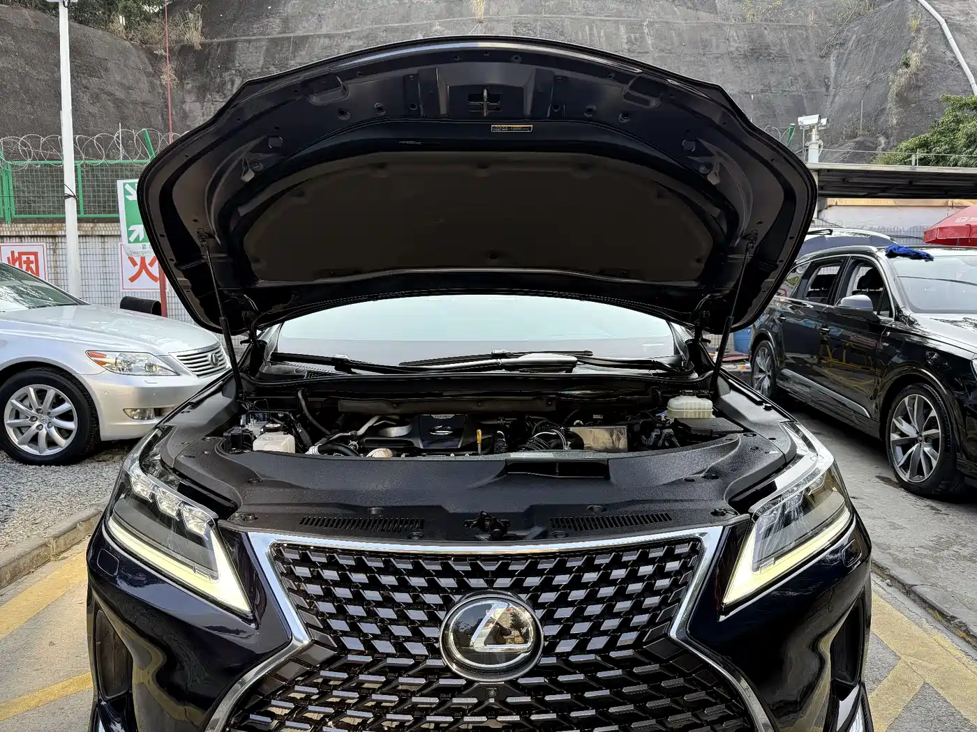 LEXUS RX