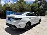Фото 10 - Geely Binrui