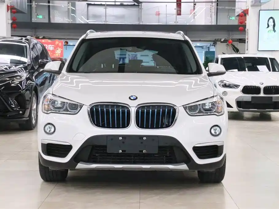 BMW X1 New Energy 2018 xDrive25Le Luxury Model фото 2