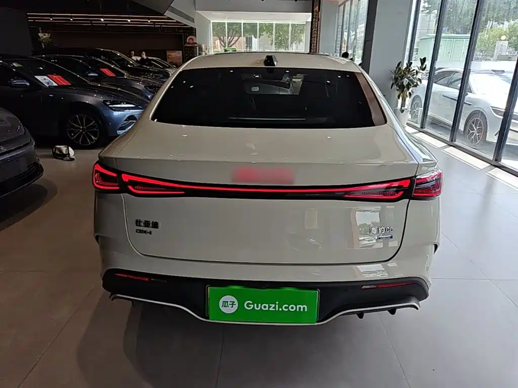 BYD Seal 06 New Energy 2025 DM-i Smart Drive Edition 120KM Luxury фото 6