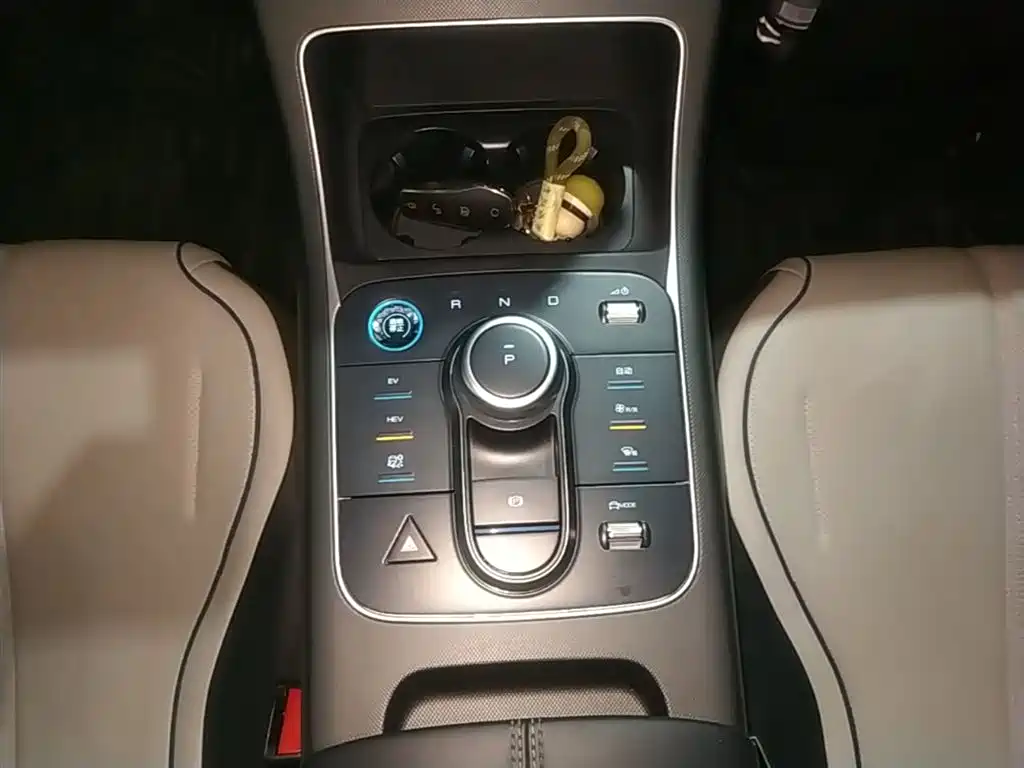 BYD Destroyer 05 2024 Glory Edition DM-i 55KM Luxury фото 14