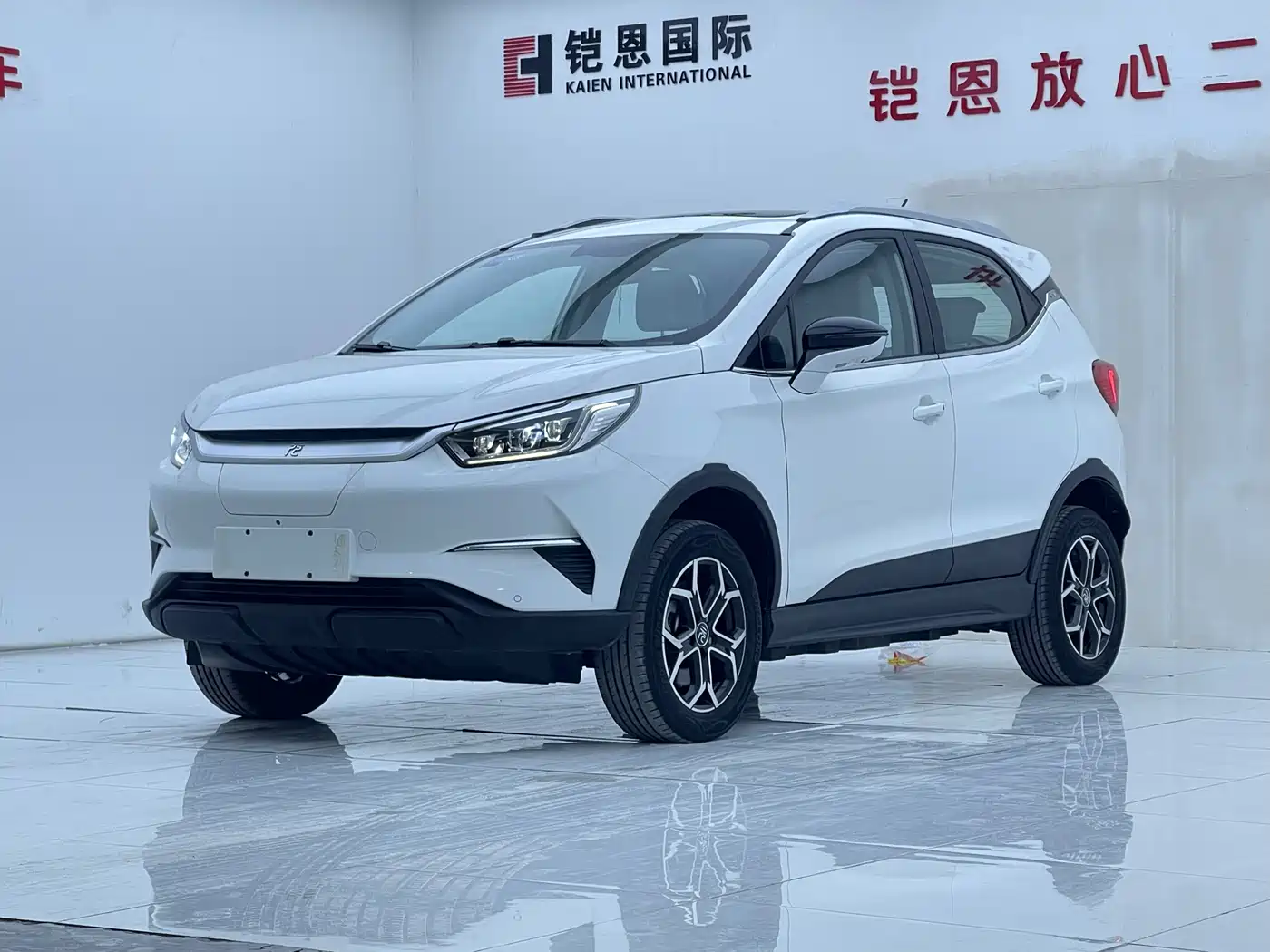 BYD YUAN PRO