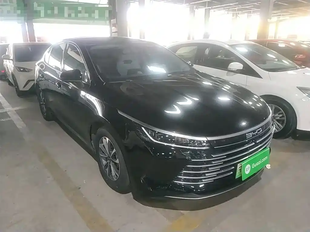BYD Destroyer 05 2024 Glory Edition DM-i 55KM Luxury фото 4