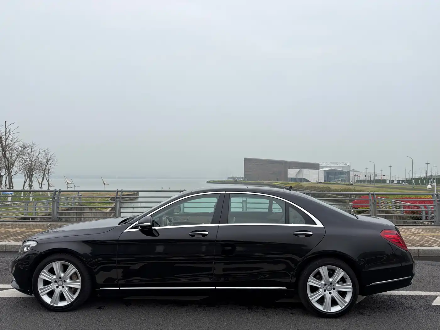 Mercedes-Benz S-Class 2014 S 400 L Luxury фото 5