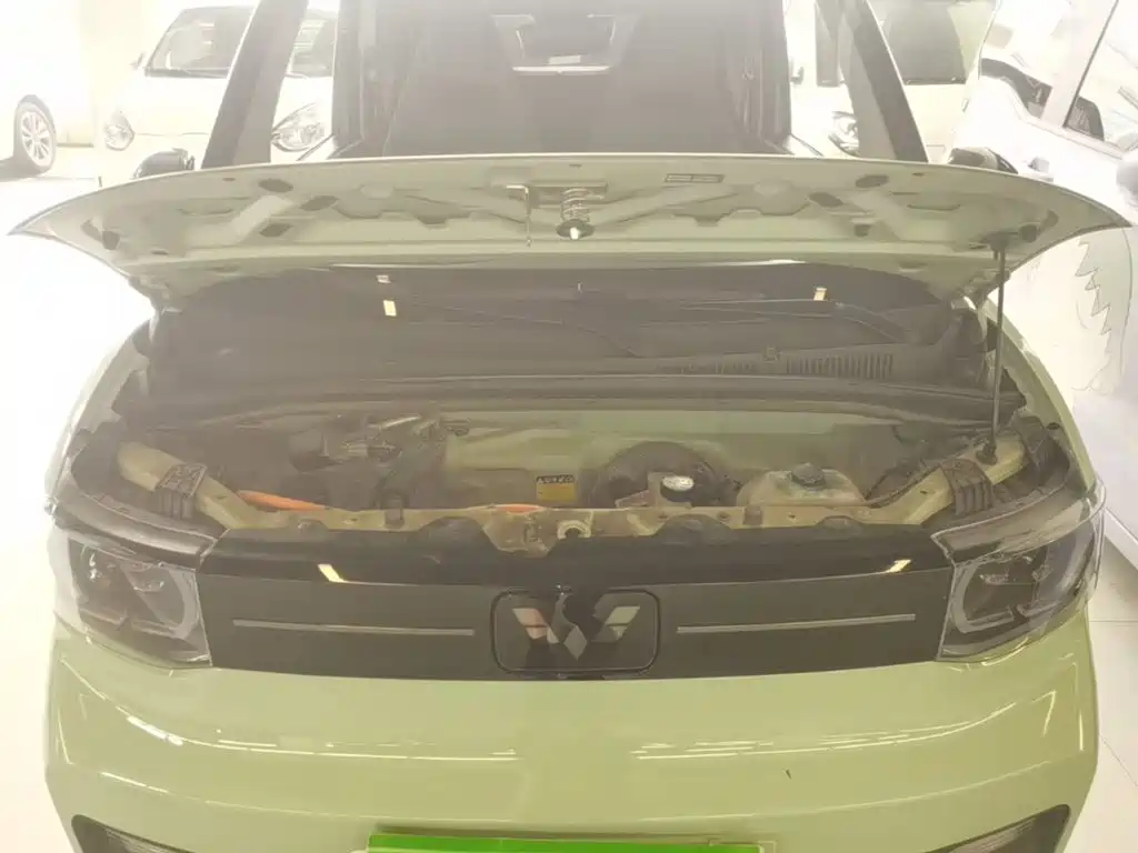 Фото 20 - Wuling Motors Hongguang MINIEV