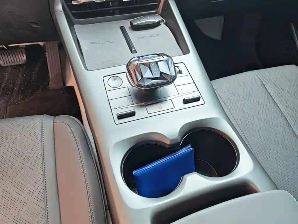 BYD Qin PLUS 2025 DM-i Smart Drive 55KM Leader фото 14