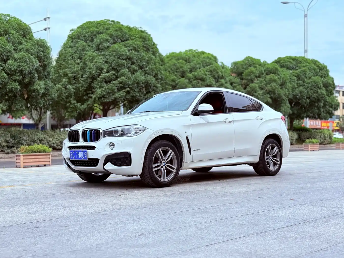 BMW X6 2017 xDrive35i Leading