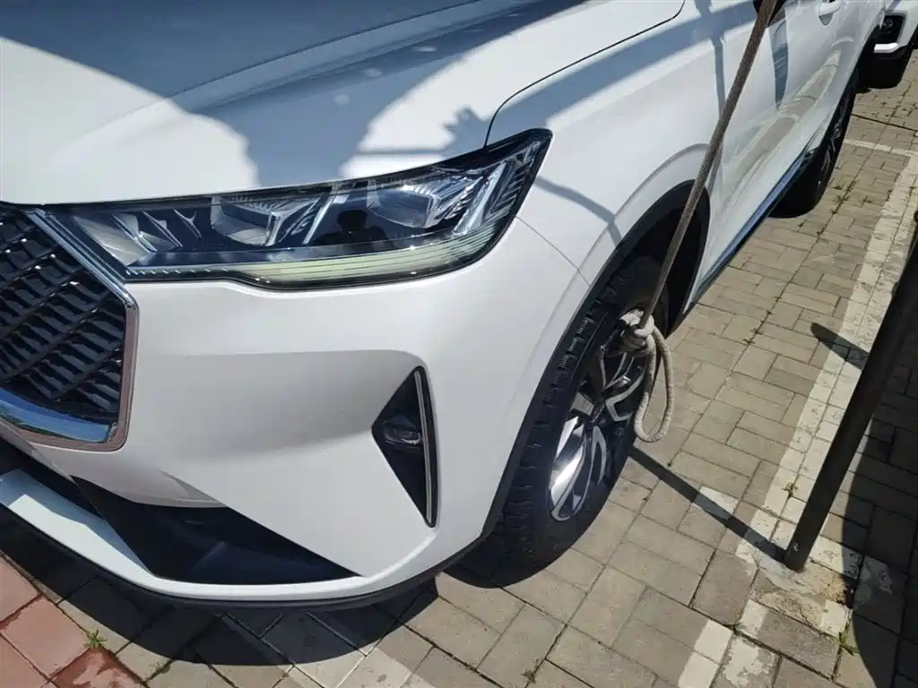 Haval H6 2021 3rd Gen 1.5T Auto 2WD Pro фото 24
