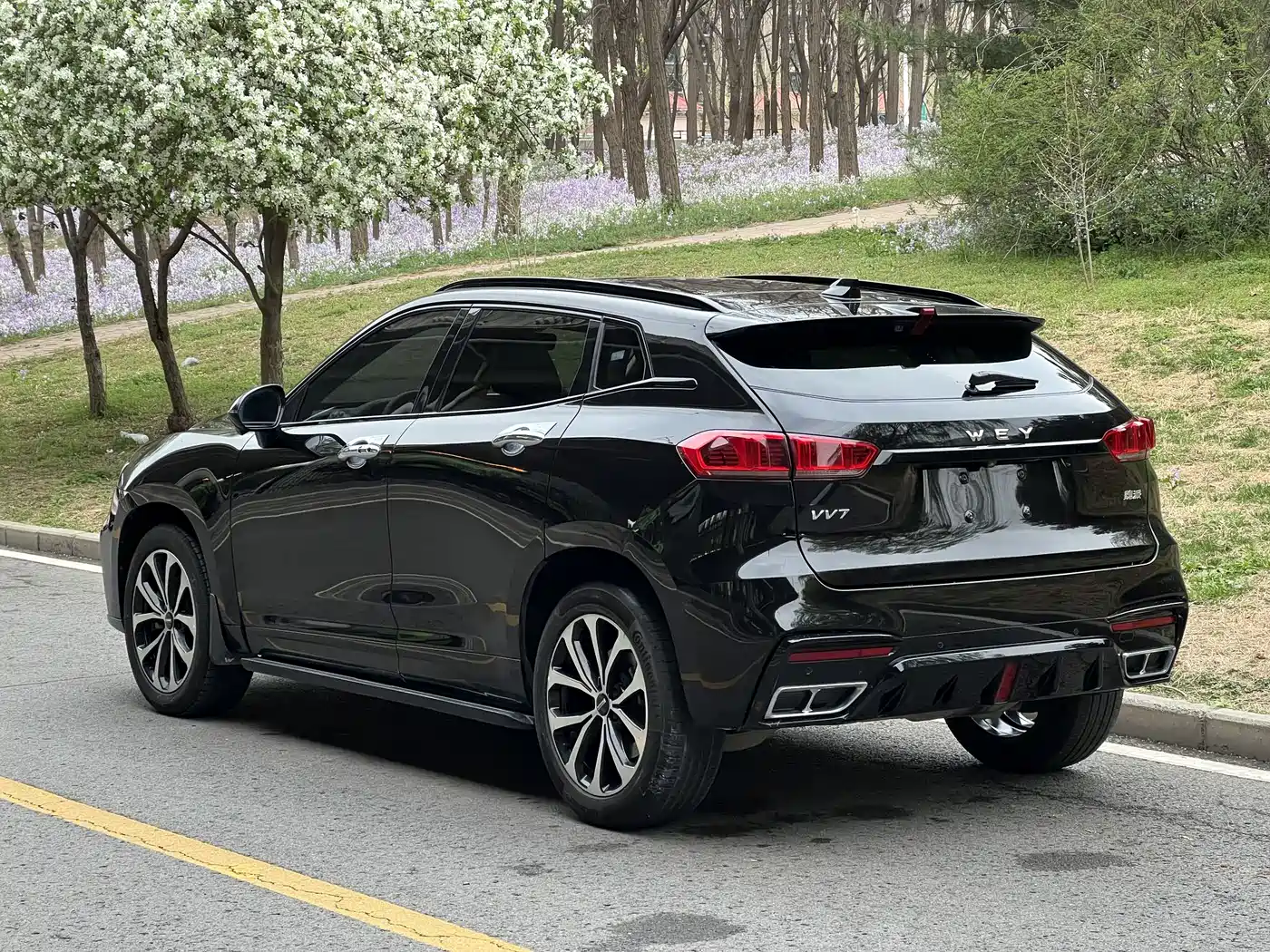 WEI PAI WEI BRAND VV7