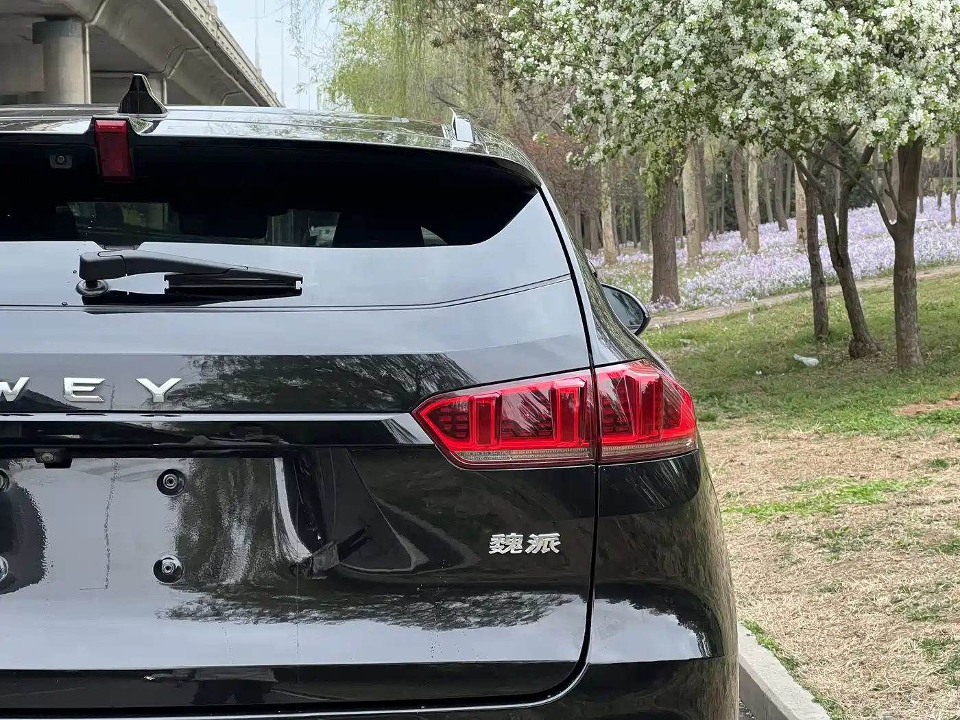 WEI PAI WEI BRAND VV7