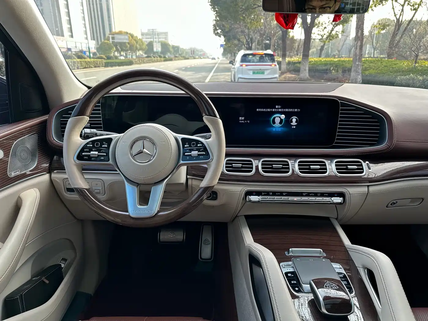 Mercedes-Benz Maybach GLS 2022 GLS 480 4MATIC фото 15