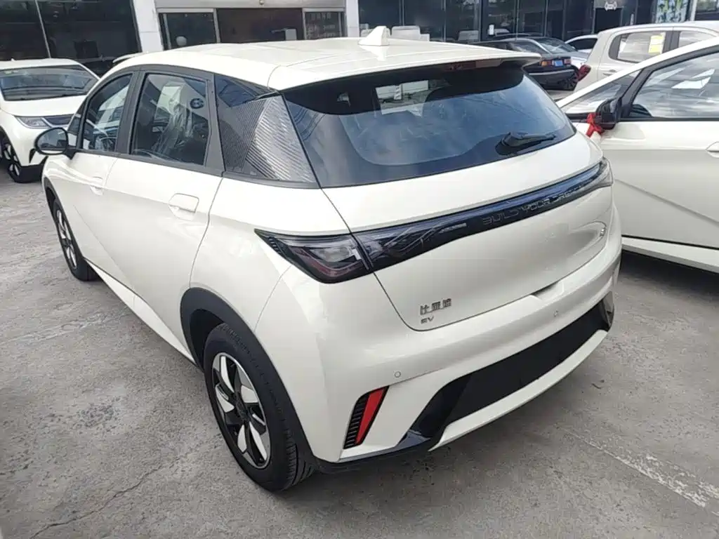 2026 BYD Dolphin