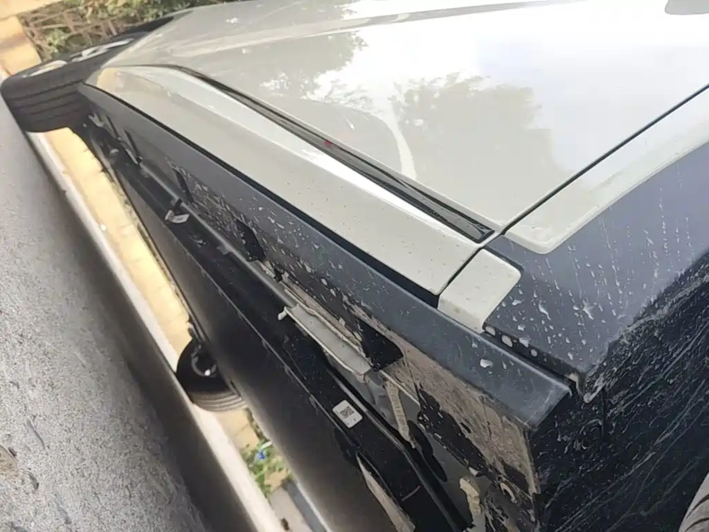 BYD Dolphin 2026 2025 420km Freedom Edition
