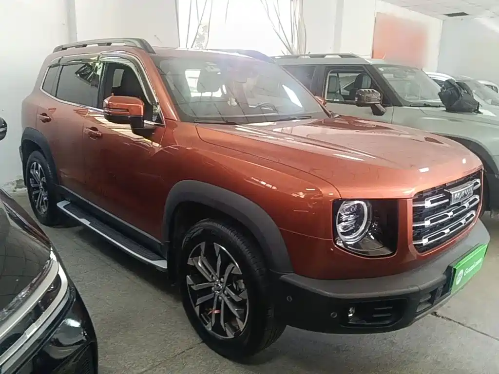 Фото 4 - Haval Dargo