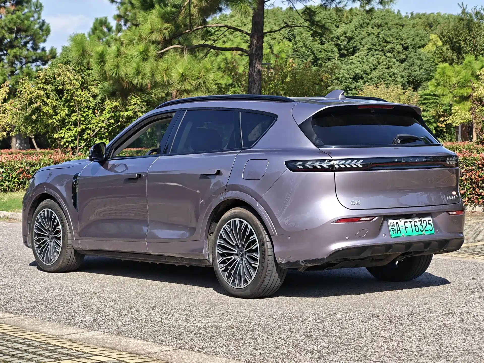 صورة 17 - Voyah Free